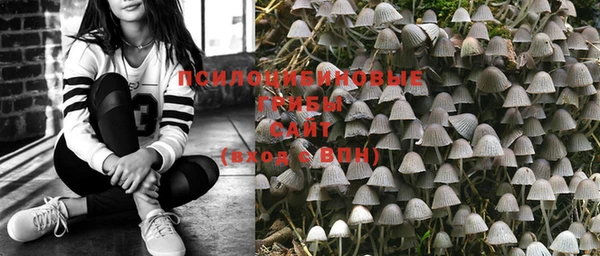 PSILOCYBIN Аркадак