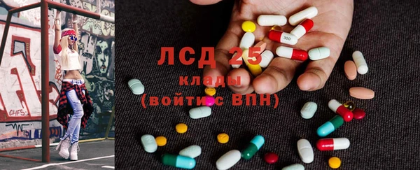 PSILOCYBIN Аркадак