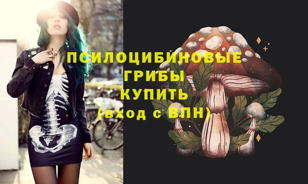 PSILOCYBIN Аркадак