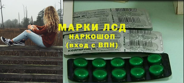 PSILOCYBIN Аркадак