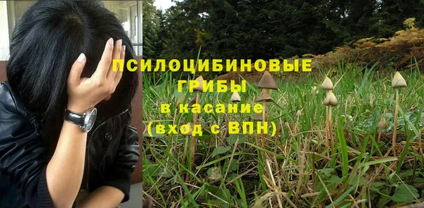 PSILOCYBIN Аркадак