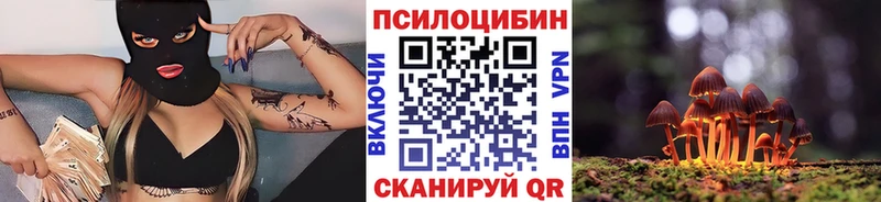 Псилоцибиновые грибы MAGIC MUSHROOMS Ревда